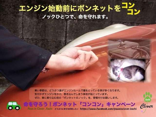 【画像】はまりまくる動物たち
