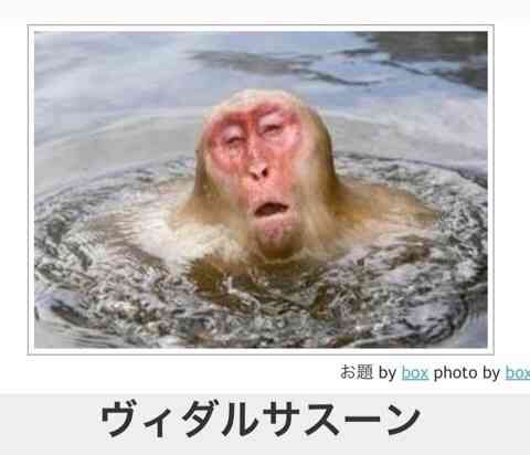 ずっと消したくない大事な画像