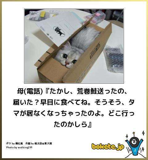 ずっと消したくない大事な画像