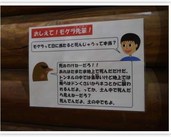 ずっと消したくない大事な画像