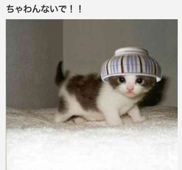 ずっと消したくない大事な画像