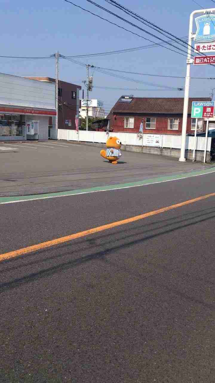 ずっと消したくない大事な画像