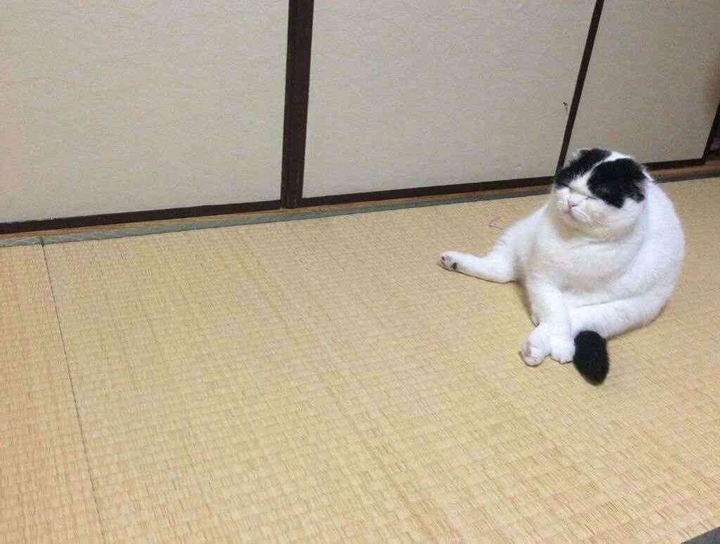 ずっと消したくない大事な画像