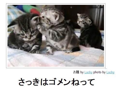 ずっと消したくない大事な画像