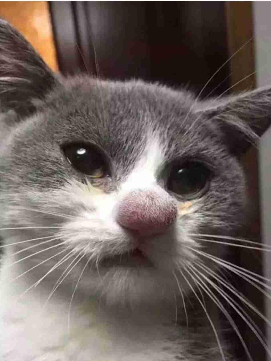 ずっと消したくない大事な画像