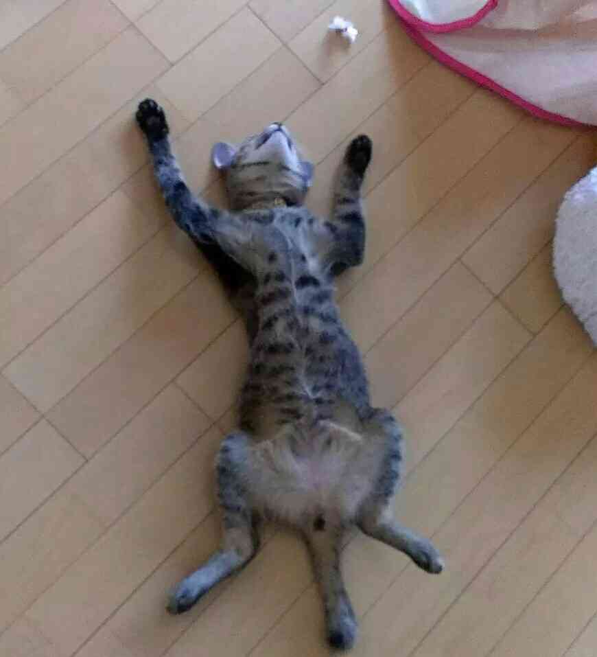 ずっと消したくない大事な画像