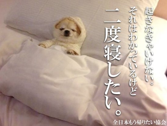 ずっと消したくない大事な画像