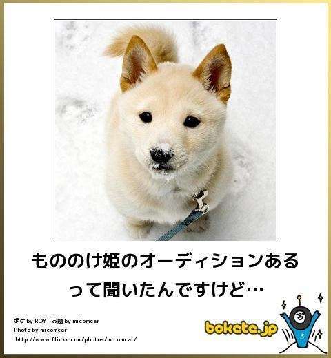 ずっと消したくない大事な画像