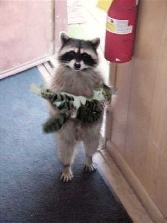 ずっと消したくない大事な画像