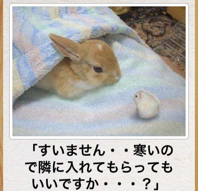 ずっと消したくない大事な画像