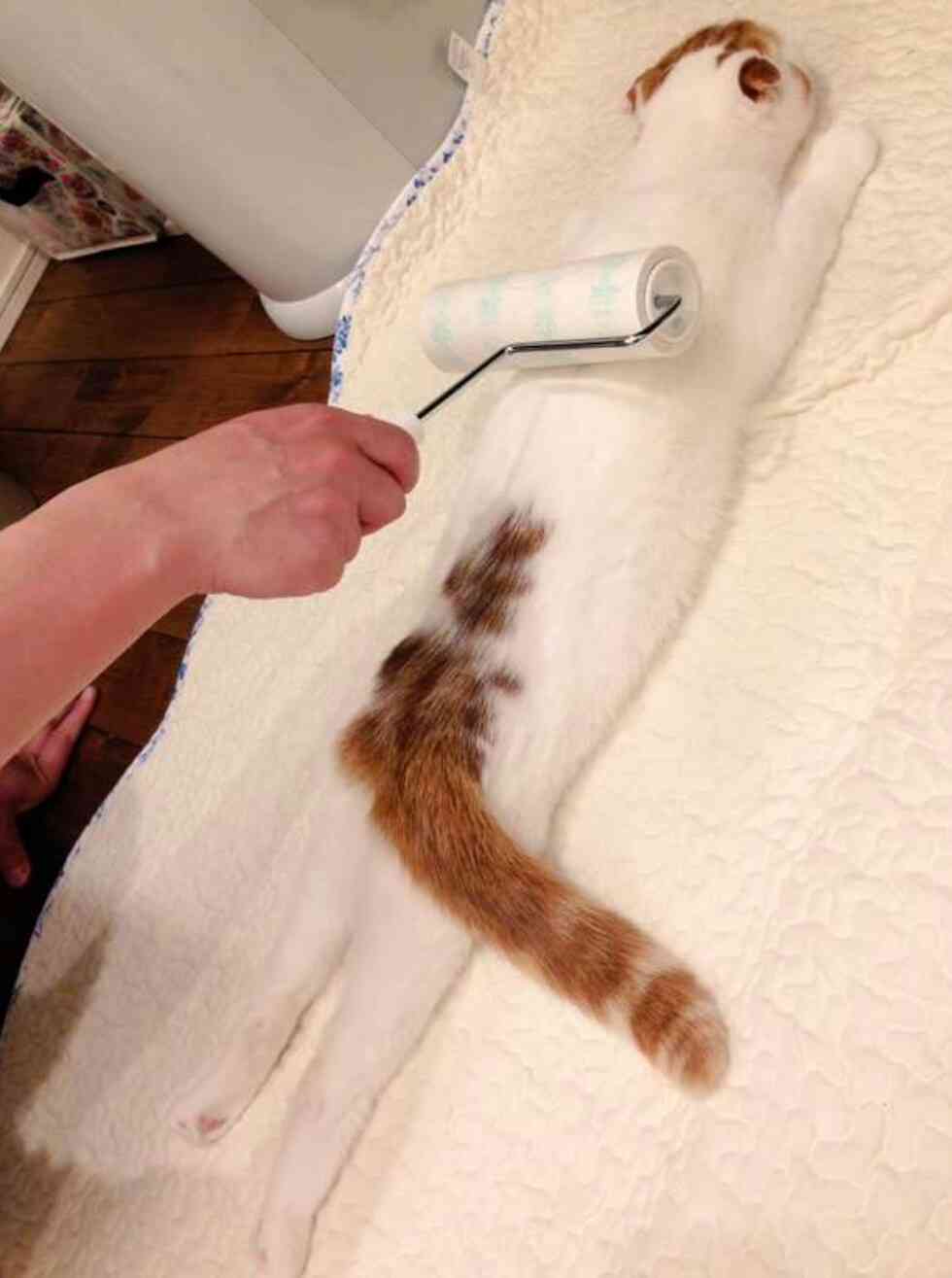 ずっと消したくない大事な画像