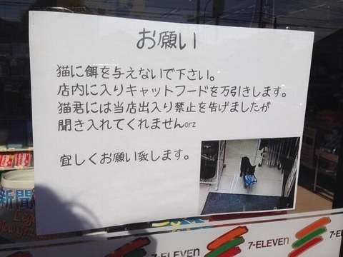 ずっと消したくない大事な画像
