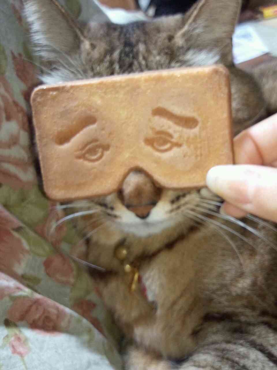 ずっと消したくない大事な画像