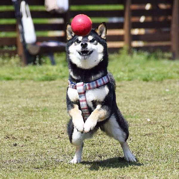 ずっと消したくない大事な画像