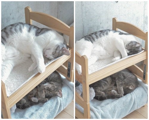 ずっと消したくない大事な画像