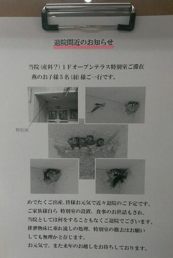 ずっと消したくない大事な画像