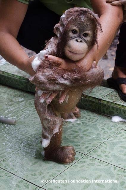 ずっと消したくない大事な画像