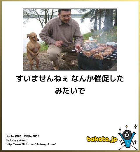 ずっと消したくない大事な画像