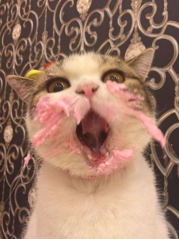 ずっと消したくない大事な画像