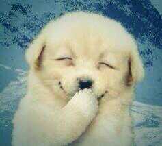 ずっと消したくない大事な画像