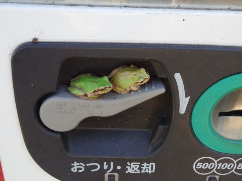 ずっと消したくない大事な画像
