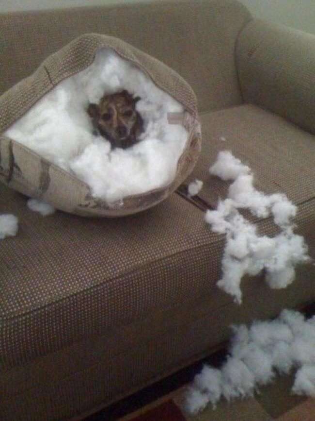 ずっと消したくない大事な画像