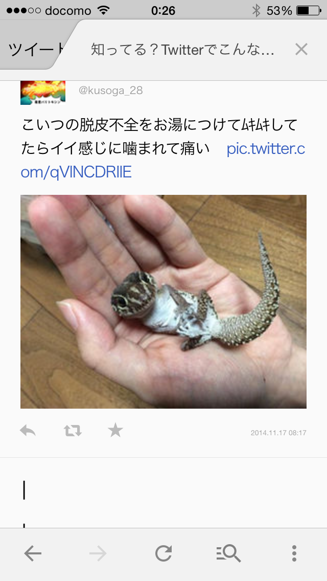 ずっと消したくない大事な画像