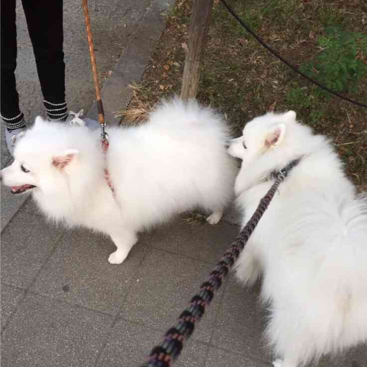 ずっと消したくない大事な画像