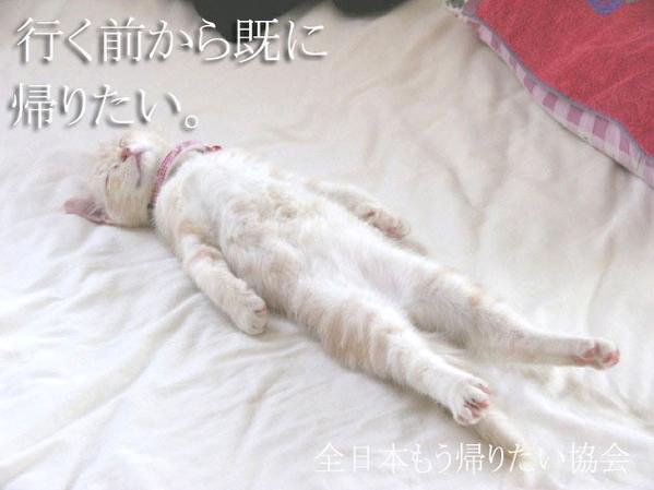 ずっと消したくない大事な画像