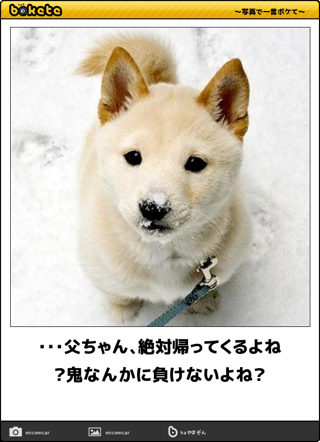 ずっと消したくない大事な画像