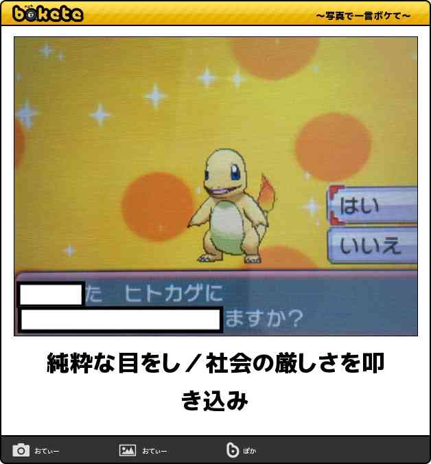ずっと消したくない大事な画像