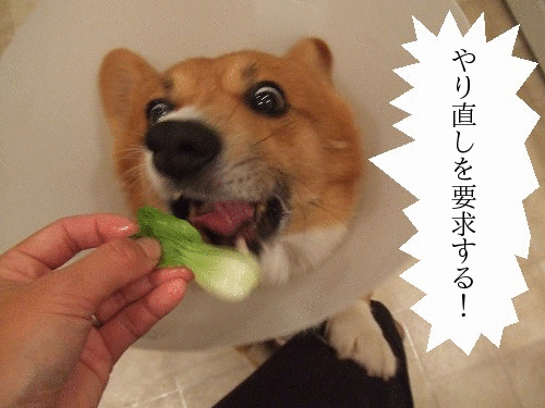 美容院、やり直しに行く?