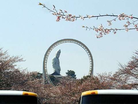 群馬県民の方いますか?