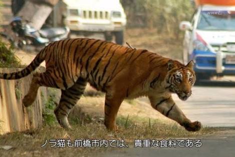 群馬県民の方いますか?