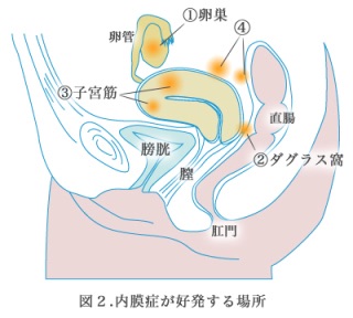 人に話しても分かってもらえない自分の不思議