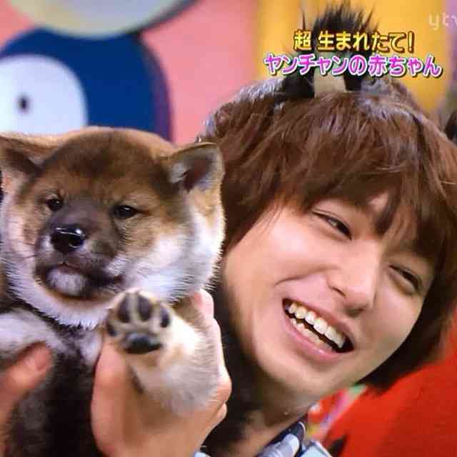 ジャニーズメンバーの笑顔の画像を貼るトピ