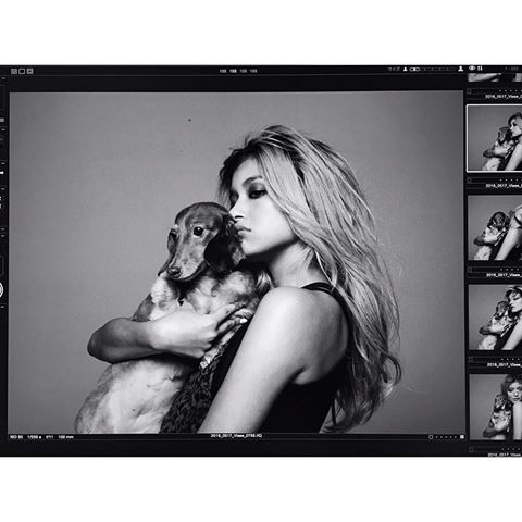 SMAP5人が解散「しない」と初めて明言「覚悟を決め、前へ」