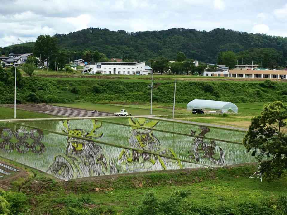 山形県の方、教えてください！（おすすめスポット、グルメ、お土産）
