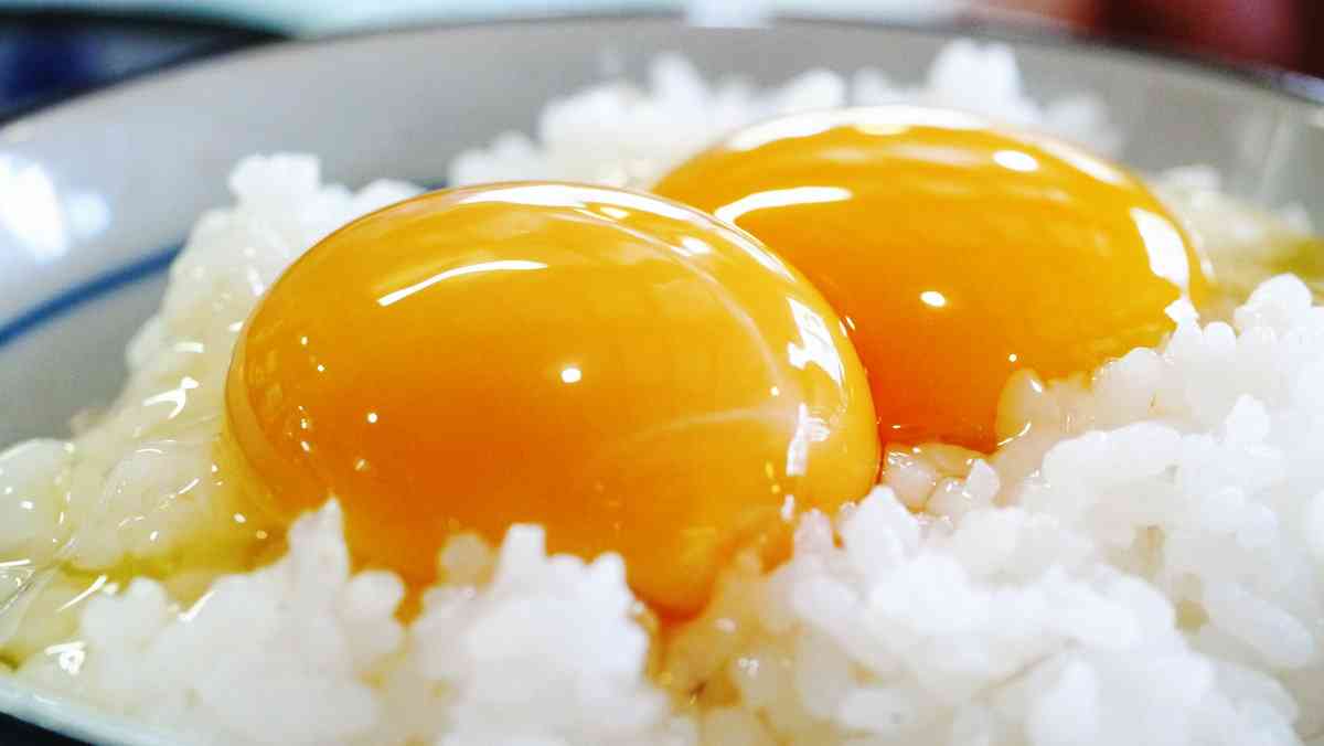 デブ飯報告所
