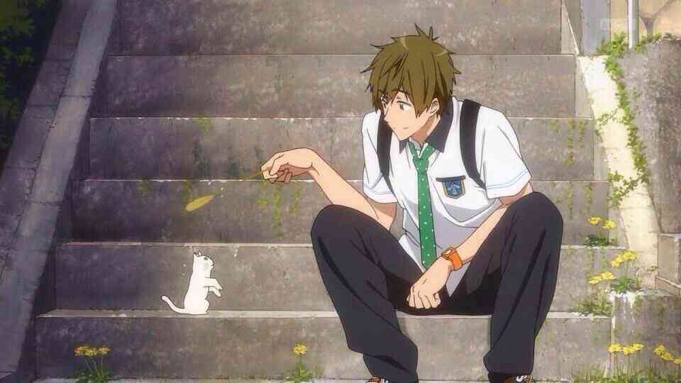 アニメ男性キャラNo.1を決めよう！