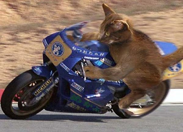 バイク乗り女子集合！②