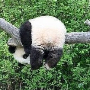 子供の時　公園での遊び