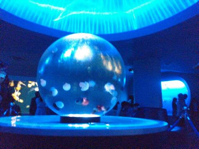 フラれたけど諦められない人