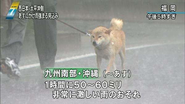 不安そうな動物の顔を貼るトピ