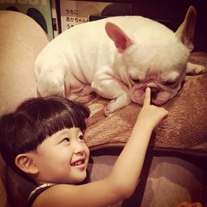 パッと明るくなる画像ちょうだい
