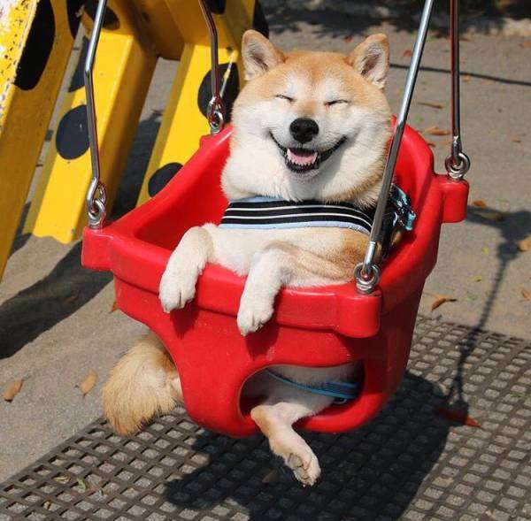 パッと明るくなる画像ちょうだい