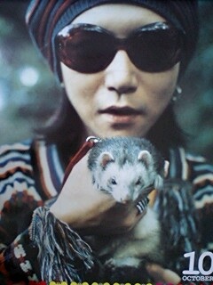 hide好きな人
