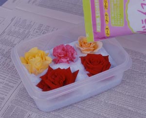 夏場の生ゴミ