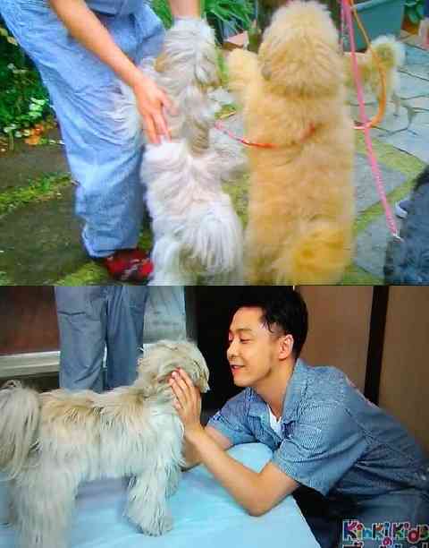 KinKi Kidsを語ろう☆Part2