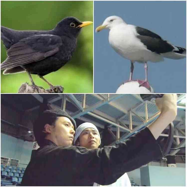 KinKi Kidsを語ろう☆Part2